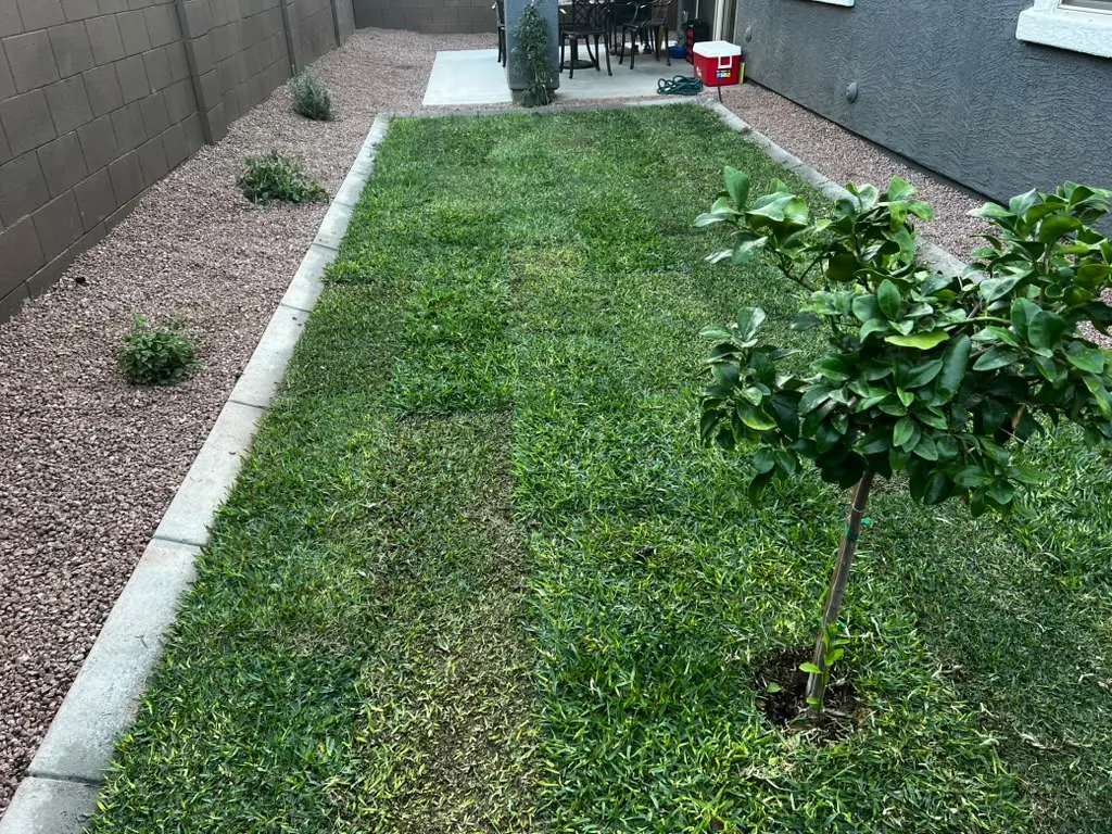 Finished lawn running the length of the side yard