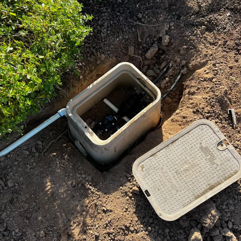 Sprinkler and irrigation system work